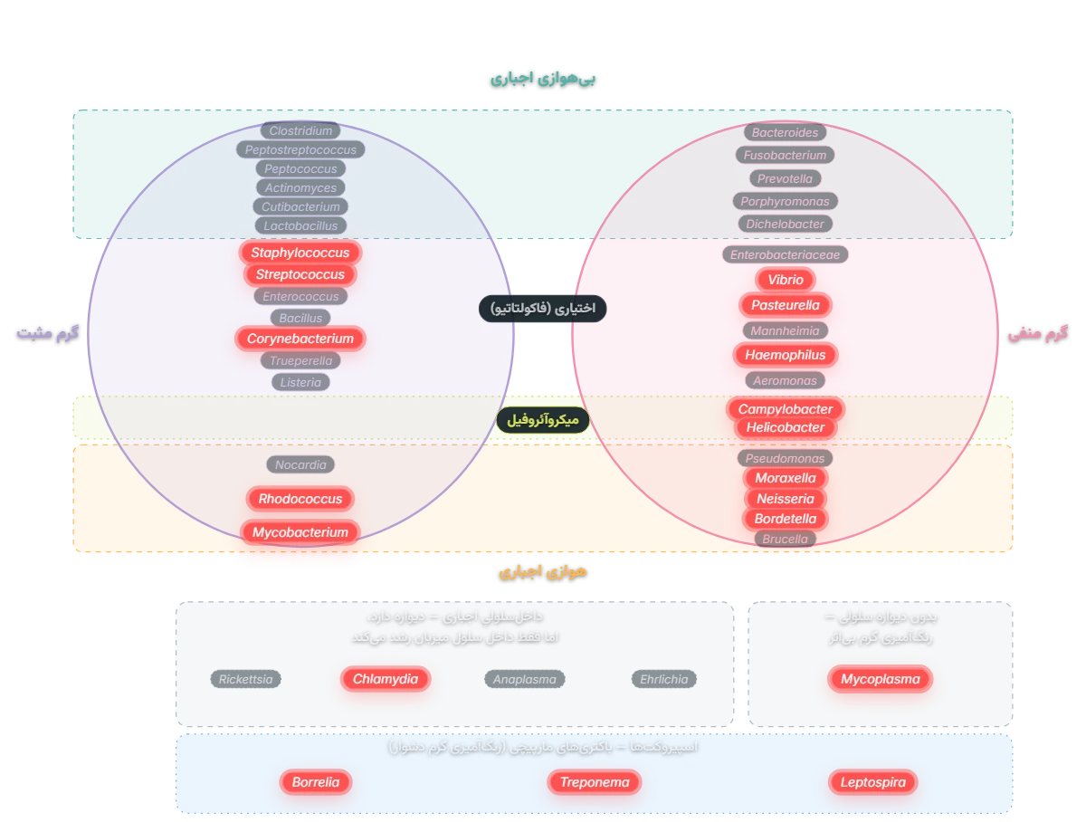 نمودار طیف اثر آزیترومایسین